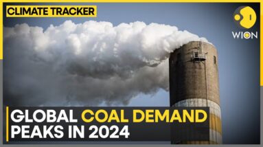 IEA Forecasts Coal Demand To Level Out By 2027 | WION Climate Tracker