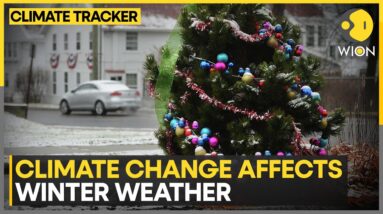 Impact of Climate Change on White Christmas | WION Climate Tracker