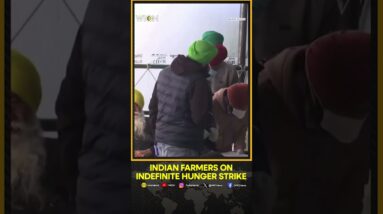 Farmers Protest: Protesting Indian Farmers Vow To Stay On Indefinite Hunger Strike | WION Shorts