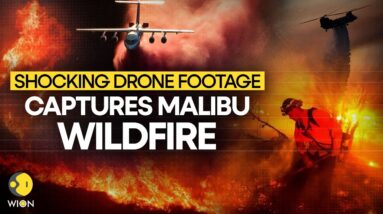 Malibu Wildfire LIVE | Fire Sweeps Through California: Homes Destroyed, Thousands Evacuated | WION