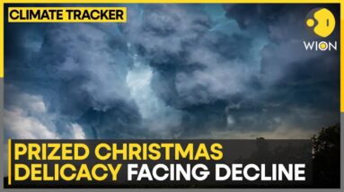 Spain Misses X-mas Delicacy To Climate Change | World News | WION Climate Tracker