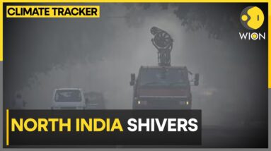 North India Shivers As Cold Wave Intensifies | WION Climate Tracker