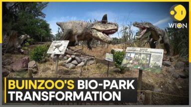 Zoo In Chile Goes Major Transformation, Replicates Forest | WION | World News