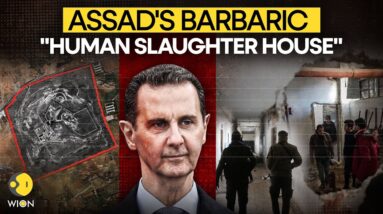 Syria Prison LIVE: Rebels Break Into Assad's 'Human Slaughter House' | Syria News |WION