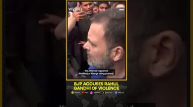 Rahul Gandhi After Pratap Sarangi's Allegations: 'BJP MPs Pushed, Threatened Me | WION Shorts