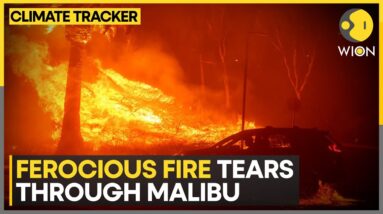 USA News | Malibu Brushfire: Firefighters Battle Wind-Driven Wildfire In California | WION Climate