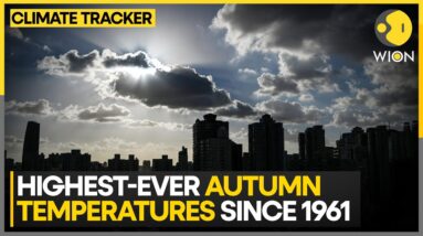 China Records Highest-Ever Autumn Temperatures At 11.8°C | WION Climate Tracker