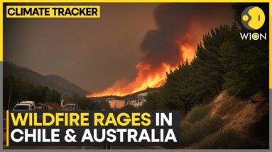 Chile: Fire Brigades Grapple With Heatwave As They Fight Fires | WION Climate Tracker