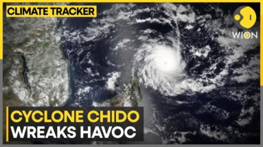 Cyclone Chido: 'Century’s Worst Storm' Wrecks Mayotte, Death Toll Increases | WION Climate Tracker