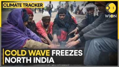 Severe Cold Wave Sweeps North India | WION Climate Tracker