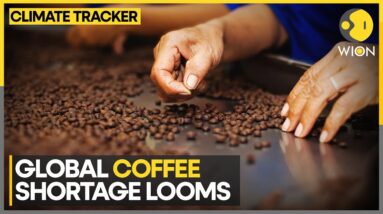 Severe Weather Sparks Coffee Price Hike | WION Climate Tracker