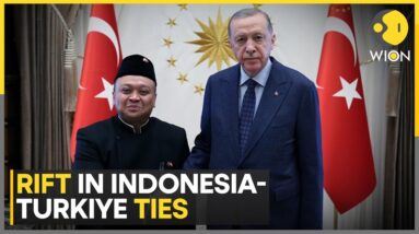 Speculation Rises Over Indonesia-Turkey Relations | World News | WION