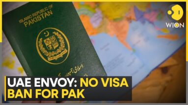 Pakistani Travellers Need Police Verification For UAE Visa | World News | WION