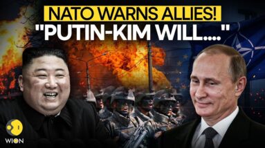 Ukraine Russia War: Is Russia Going To Attack NATO? | Russian Minister Big Announcement |  WION LIVE