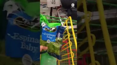 Shoppers find live frog in bag of spinach in Mexico #frogs #food #shopping #animals #mexico