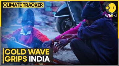 Cold Wave Grips Several Parts Of India, AQI In Delhi Recorded At 334 | WION Climate Tracker