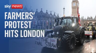 Watch Live: Hundreds of tractors head into London for farmers' protest