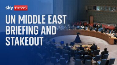 Watch Live: UN Security Council Middle East briefing