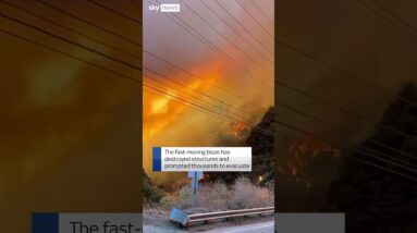 Wildfire tears through Malibu