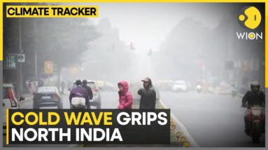 Weather Forecast: Heavy Rain Predicted In South India, Snowfall In North | WION Climate Tracker