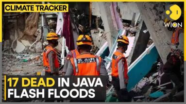 Java Flash Floods: Deadly Floods Sweep Through Java Villages | WION Climate Tracker