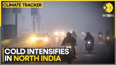 India Weather Forecast: Orange Alert Issued For Isolated Dense Fog In Delhi-NCR | WION