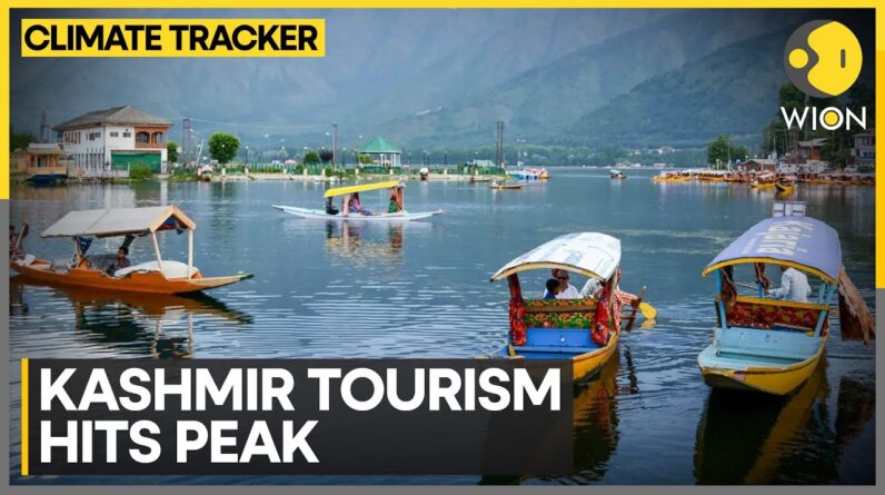 Kashmir Valley Fully Booked As Snowfall Spell Attracts Tourists | WION Climate Tracker