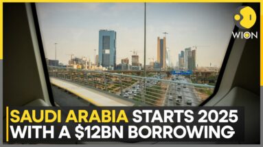 Saudi Arabia's Large Borrowings To Fund Economic-Transformation Plan | World News | WION