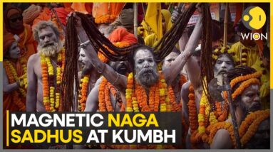 Maha Kumbh Mela 2025: Naga Sadhus' Grand Entry At World's Biggest Gathering | WION EXCLUSIVE