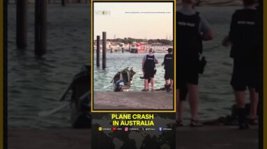 3 Tourists Dead In Australian Plane Crash | WION Shorts