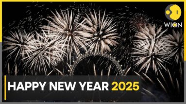 Hello 2025: Celebrations Across The Globe As World Welcomes 2025 | World News | WION