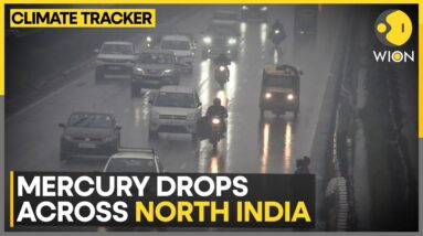 India: Western Disturbance To Bring, Cold Wave In North India | World News | WION Climate Tracker