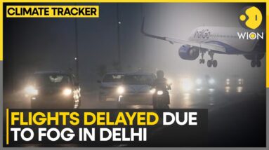 Dense Fog Continues To Blanket Delhi: Over 100 Flights Delayed, 10 Cancelled | WION Climate Tracker