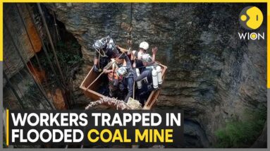 India: Several Workers Trapped In Flooded Coal Mine In Assam; Indian Army Begins Rescue Ops | WION