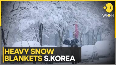 Heavy Snow Blankets S. Korea's Wider Seoul, Eastern Regions | World News | WION