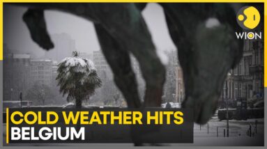 Belgium Faces Snow and Freezing Temperatures | World News | WION