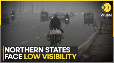 Cold Wave Intensifies In North India | World News | WION