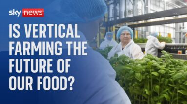 Could vertical farming be the future of our food?