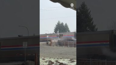 Dramatic moment Amtrak train hits stranded semi-truck - ABC News