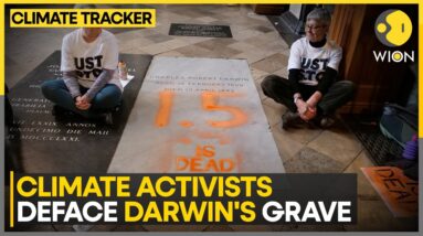 Activists Write '1.5 Is Dead' On Darwin's Grave In Climate Protest | WION Climate Tracker