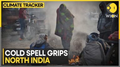 India: Severe Cold Wave To Persist In North India; IMD Predicts Rainfall | WION Climate Tracker