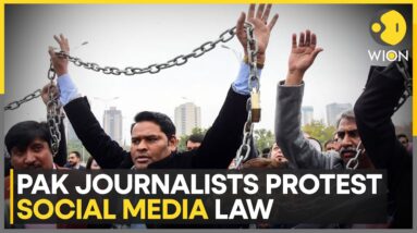 Pakistan Federal Union Of Journalists Leads Rallies Across Country | World News | WION