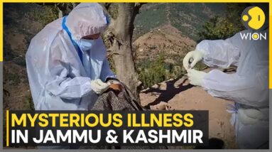 India: Mysterious Illness In Jammu And Kashmir; 17 Dead in Rajouri | World News | WION