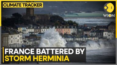 Storm Herminia Floods Parts of Western France | WION Climate Tracker | World News