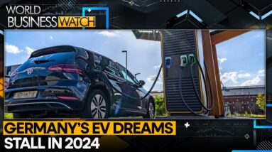 Germany’s EV Sales Fall 27% In 2024, Marking A ‘lost Year’ | World Business Watch | WION