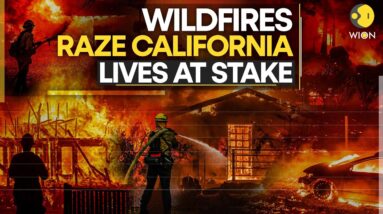 California Wildfire: Los Angeles Residents Flee For Life Amid Emergency | WION Originals