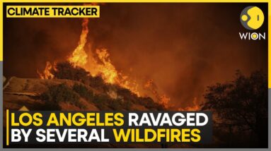 California Wildfires: Los Angeles Residents 'Terrified' By Projected Forecast Winds | WION