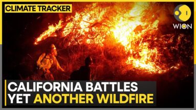 Los Angeles Wildfires: New Hughes Fire Breaks Out About 80 Km North Of Los Angeles | WION