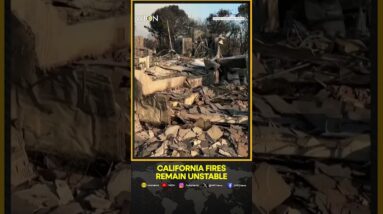 California Wildfire: California Fires Remain Unstable As Dry, Windy Weather Persists | WION Shorts