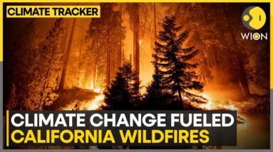 Climate Change Set the Stage for Los Angeles Fire, Study Finds | WION Climate Tracker